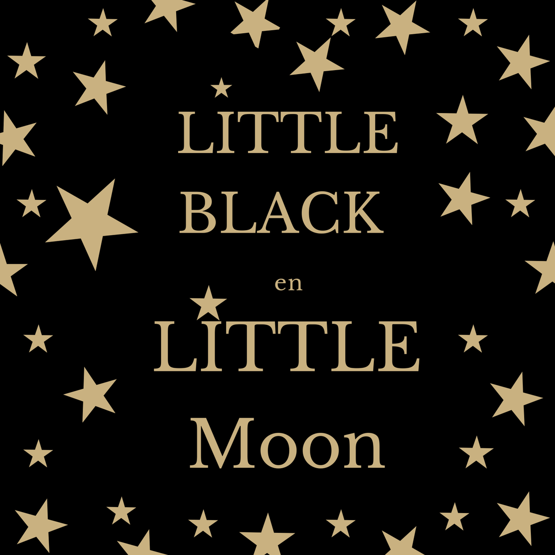 BLACK FRIDAY o VIERNES NEGRO - Little MooN