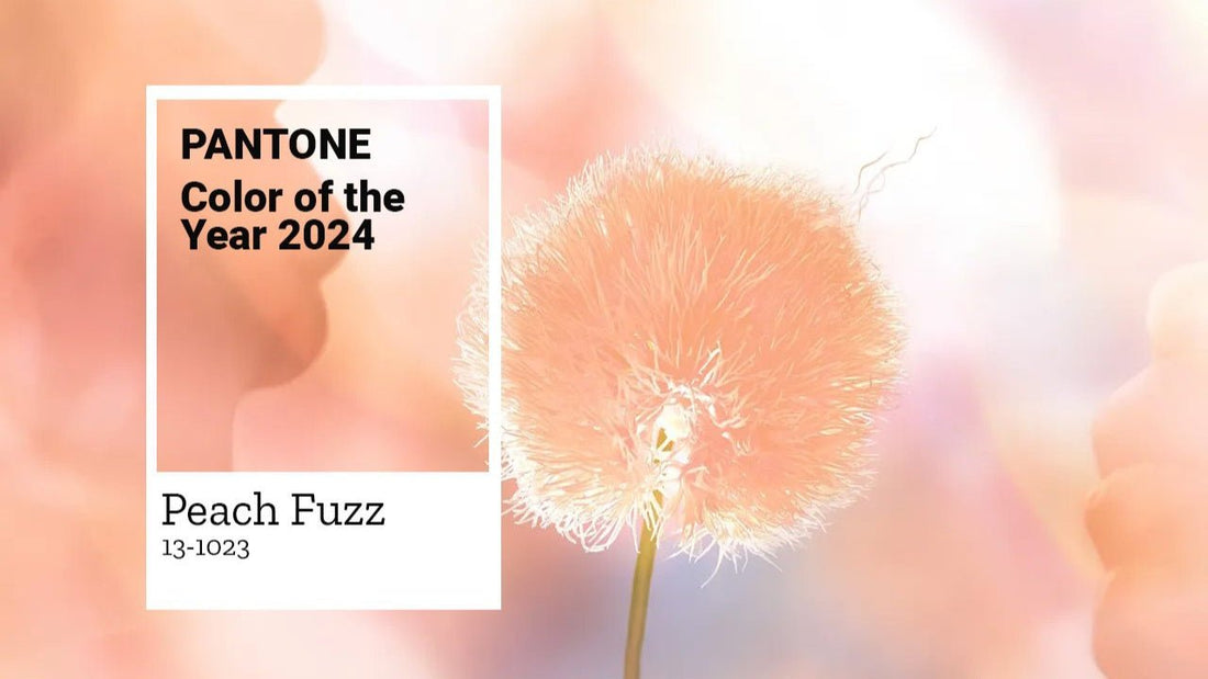 PEACH FUZZ: Color de 2024 - Little MooN